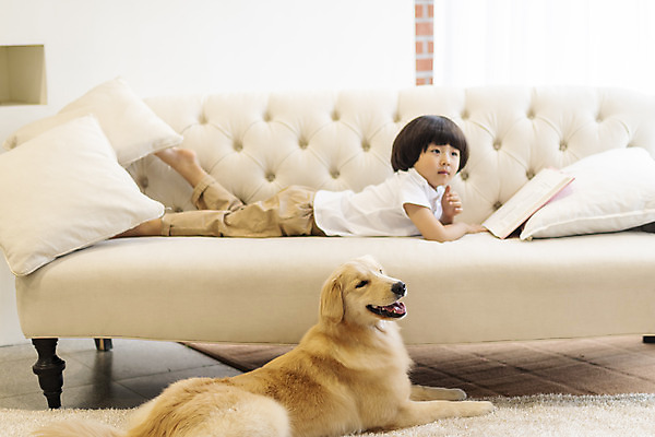 포토 JPG 전신 한마리 남자 행복 반려견 어린이 엎드리기 쿠션 거실 한명 옆모습 책 반려동물 소파 독서 화목 다정 한국인 골든리트리버 강아지 즐거움 반려 소년한명만 국내포토 동물 1 감정 뷰포인트 컨셉 의자 모션 사람 동양인 개 리트리버 남자한명만 소년만 파일형식