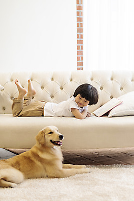 포토 JPG 전신 한마리 응시 남자 행복 반려견 어린이 엎드리기 쿠션 거실 한명 미소 옆모습 책 반려동물 소파 독서 화목 다정 한국인 골든리트리버 강아지 즐거움 반려 소년한명만 국내포토 동물 1 시선 감정 뷰포인트 컨셉 의자 모션 표정 사람 동양인 개 리트리버 남자한명만 소년만 파일형식