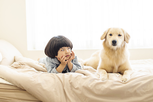 포토 JPG 전신 한마리 응시 남자 행복 반려견 어린이 엎드리기 한명 앞모습 반려동물 턱괴기 화목 다정 침실 한국인 침대 골든리트리버 강아지 즐거움 반려 소년한명만 국내포토 동물 1 시선 감정 뷰포인트 가구 컨셉 모션 사람 동양인 개 리트리버 남자한명만 소년만 파일형식