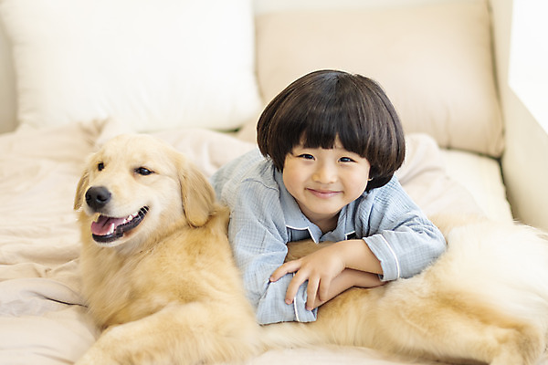 포토 JPG 한마리 남자 행복 반려견 어린이 엎드리기 한명 미소 상반신 앞모습 반려동물 화목 다정 침실 한국인 침대 골든리트리버 강아지 즐거움 반려 소년한명만 국내포토 동물 1 감정 뷰포인트 가구 컨셉 모션 표정 사람 동양인 개 리트리버 남자한명만 소년만 파일형식