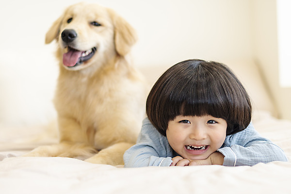 포토 JPG 한마리 남자 행복 반려견 어린이 엎드리기 한명 미소 상반신 앞모습 아웃포커스 반려동물 화목 다정 침실 한국인 침대 골든리트리버 강아지 즐거움 반려 소년한명만 국내포토 동물 1 감정 뷰포인트 가구 컨셉 모션 촬영기법 표정 사람 동양인 개 리트리버 남자한명만 소년만 파일형식