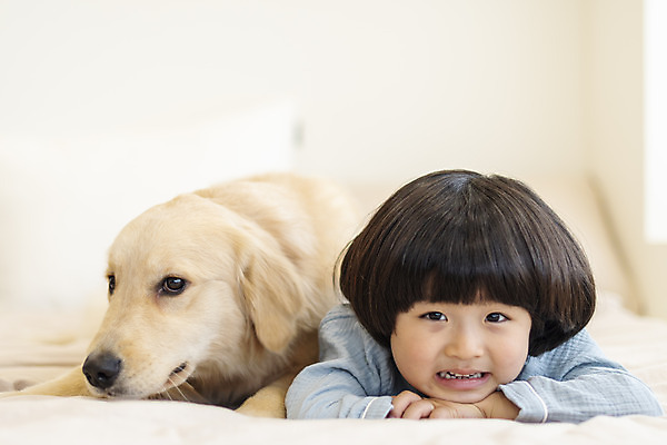 포토 JPG 한마리 남자 행복 반려견 어린이 엎드리기 한명 미소 상반신 앞모습 아웃포커스 반려동물 화목 다정 침실 한국인 침대 골든리트리버 강아지 즐거움 반려 소년한명만 국내포토 동물 1 감정 뷰포인트 가구 컨셉 모션 촬영기법 표정 사람 동양인 개 리트리버 남자한명만 소년만 파일형식