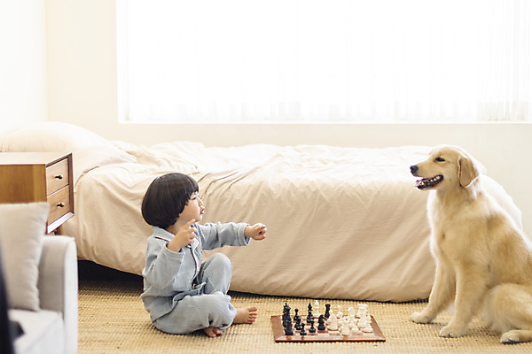 포토 JPG 전신 한마리 남자 행복 반려견 어린이 놀이 한명 앉기 옆모습 반려동물 소파 화목 다정 침실 한국인 매트 침대 체스 골든리트리버 강아지 즐거움 마주앉기 반려 소년한명만 국내포토 동물 1 감정 뷰포인트 가구 컨셉 의자 모션 사람 동양인 개 리트리버 남자한명만 소년만 파일형식