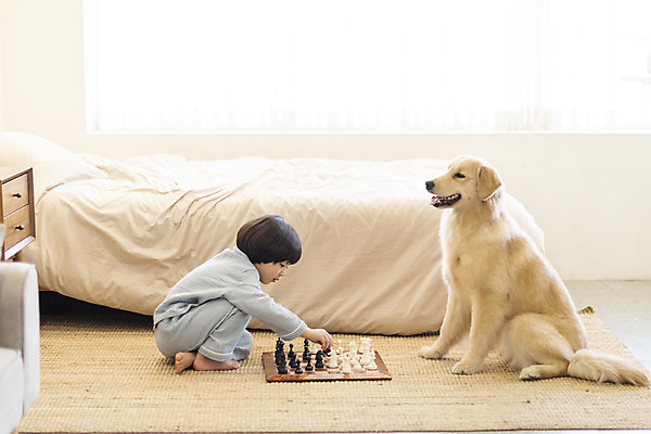 포토 JPG 전신 한마리 남자 행복 반려견 어린이 놀이 한명 앉기 옆모습 반려동물 소파 화목 다정 침실 한국인 매트 침대 체스 골든리트리버 강아지 즐거움 마주앉기 반려 소년한명만 국내포토 동물 1 감정 뷰포인트 가구 컨셉 의자 모션 사람 동양인 개 리트리버 남자한명만 소년만 파일형식