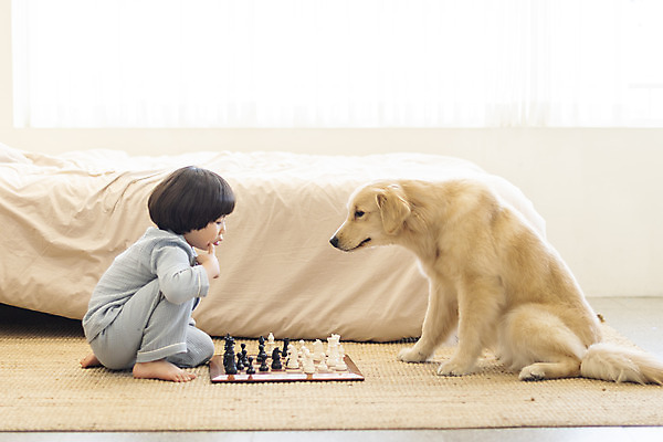 포토 JPG 전신 한마리 남자 행복 반려견 어린이 놀이 한명 앉기 옆모습 반려동물 소파 화목 다정 침실 한국인 매트 침대 체스 골든리트리버 강아지 즐거움 마주앉기 반려 소년한명만 국내포토 동물 1 감정 뷰포인트 가구 컨셉 의자 모션 사람 동양인 개 리트리버 남자한명만 소년만 파일형식