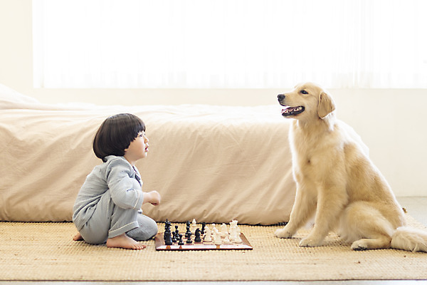 포토 JPG 전신 한마리 남자 행복 반려견 어린이 놀이 한명 앉기 옆모습 반려동물 소파 화목 다정 침실 한국인 매트 침대 체스 골든리트리버 강아지 즐거움 마주앉기 반려 소년한명만 국내포토 동물 1 감정 뷰포인트 가구 컨셉 의자 모션 사람 동양인 개 리트리버 남자한명만 소년만 파일형식