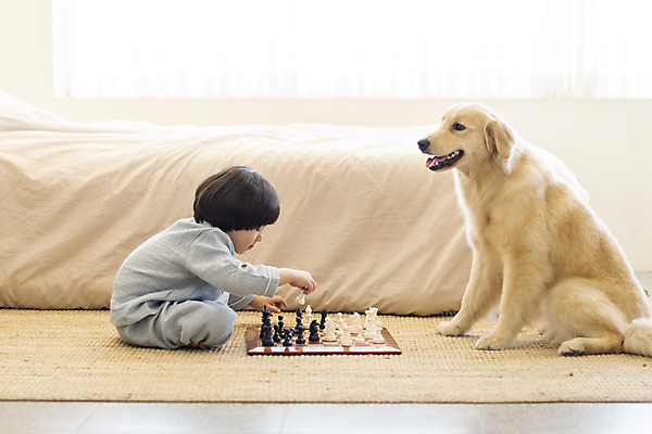 포토 JPG 전신 한마리 남자 행복 반려견 어린이 놀이 한명 앉기 옆모습 반려동물 소파 화목 다정 침실 한국인 침대 체스 골든리트리버 강아지 즐거움 마주앉기 반려 소년한명만 국내포토 동물 1 감정 뷰포인트 가구 컨셉 의자 모션 사람 동양인 개 리트리버 남자한명만 소년만 파일형식