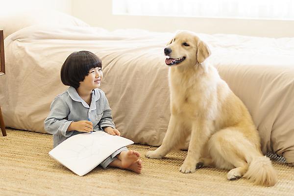 포토 JPG 전신 한마리 남자 행복 반려견 어린이 한명 앉기 앞모습 반려동물 화목 다정 침실 한국인 매트 침대 그리기 골든리트리버 강아지 스케치북 즐거움 그림 크레파스 반려 소년한명만 국내포토 동물 1 감정 뷰포인트 가구 컨셉 모션 학용품 사람 동양인 개 리트리버 남자한명만 소년만 파일형식