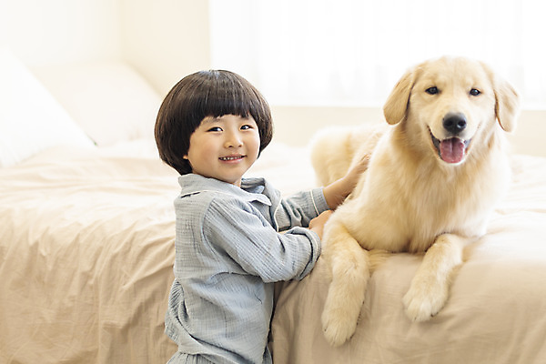 포토 JPG 한마리 남자 행복 반려견 어린이 엎드리기 한명 상반신 옆모습 반려동물 화목 다정 침실 한국인 침대 골든리트리버 강아지 즐거움 반려 소년한명만 쓰다듬기 국내포토 동물 1 감정 뷰포인트 가구 컨셉 모션 사람 동양인 개 리트리버 남자한명만 소년만 파일형식