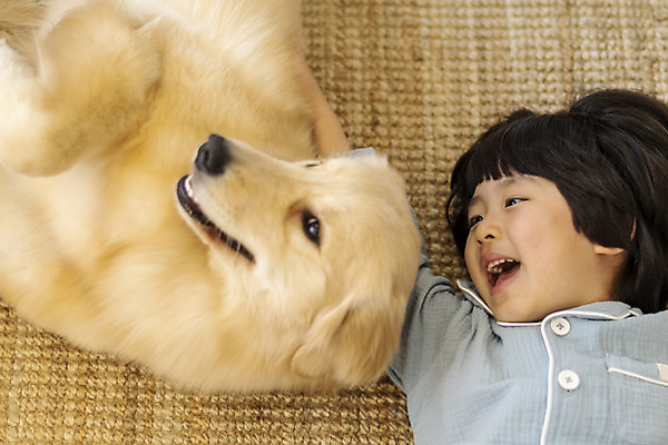 포토 JPG 한마리 남자 행복 반려견 어린이 한명 상반신 앞모습 반려동물 하이앵글 눕기 화목 다정 한국인 매트 골든리트리버 강아지 즐거움 반려 소년한명만 국내포토 동물 1 감정 뷰포인트 컨셉 모션 사람 동양인 개 리트리버 남자한명만 소년만 파일형식