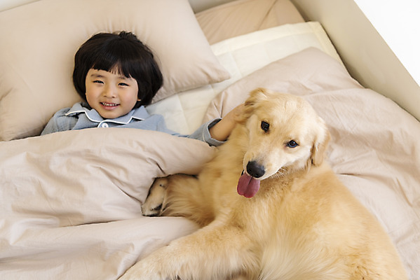 포토 JPG 한마리 남자 행복 반려견 어린이 베개 한명 상반신 앞모습 반려동물 하이앵글 눕기 화목 다정 침실 이불 한국인 침대 골든리트리버 강아지 즐거움 반려 소년한명만 국내포토 동물 1 감정 뷰포인트 가구 컨셉 침구 모션 사람 동양인 개 리트리버 남자한명만 소년만 파일형식
