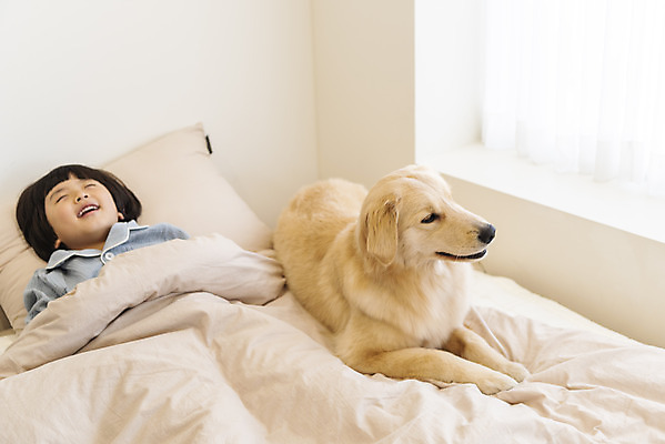 포토 JPG 한마리 남자 행복 반려견 어린이 베개 한명 상반신 앞모습 반려동물 하이앵글 눕기 화목 다정 침실 이불 한국인 침대 골든리트리버 강아지 즐거움 반려 소년한명만 국내포토 동물 1 감정 뷰포인트 가구 컨셉 침구 모션 사람 동양인 개 리트리버 남자한명만 소년만 파일형식