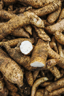 포토 JPG 주간 채소 근접촬영 사람없음 야외 전라북도 특산물 지역 마 무주 천마 국내포토 자연요소 뷰포인트 전라도 파일형식