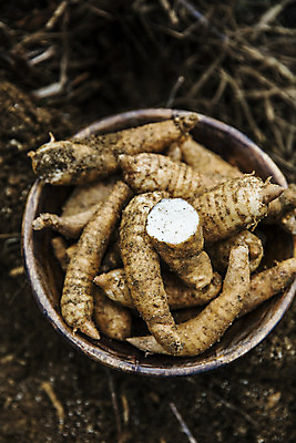 포토 JPG 주간 채소 근접촬영 사람없음 야외 하이앵글 전라북도 특산물 지역 마 무주 천마 국내포토 자연요소 뷰포인트 전라도 파일형식