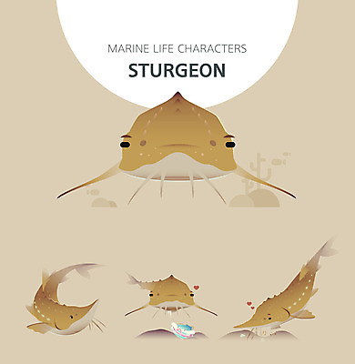 캐릭터 여러마리 일러스트 조개 사람없음 세트 갈색 귀여움 수중동물 기쁨 사냥 철갑상어 일러캐릭터 AI파일 동물 감정 컬러 다수 컨셉 어패류 민물고기 파일형식 벡터