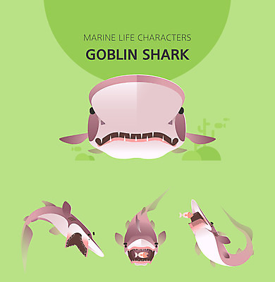 캐릭터 여러마리 일러스트 사람없음 초록색 세트 귀여움 수중동물 사냥 마귀상어 일러캐릭터 AI파일 동물 컬러 다수 컨셉 상어 파일형식 벡터