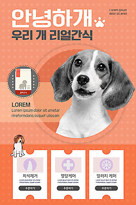 PSD 템플릿 배너 ZIP 반려견 웹템플릿 디자인시안 모바일 이벤트페이지 건강 이벤트 사람없음 반려동물 홈페이지 주황색 홈페이지시안 개 강아지 쿠폰 모바일템플릿 모바일웹 비글 반려 소셜네트워크 애견간식 펫케어 모바일앱 모바일페이지 이미지템플릿 반려용품 동물 컬러 포유류 관리 오브젝트 페이지 파일형식
