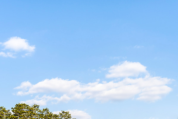 포토 JPG 주간 구름 하늘색 백그라운드 겨울 자연 하늘 풍경 사람없음 야외 햇빛 뭉게구름 국내포토 자연요소 계절 파란색 태양 생태계 파일형식 구름_자연