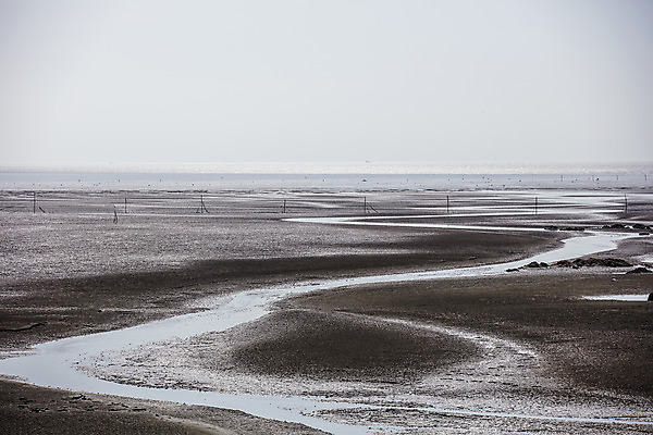 포토 JPG 주간 바다 섬 여행 한국 풍경 사람없음 야외 관광지 전라남도 갯벌 국내여행 서해안 송이도 영광군 국내포토 자연요소 아시아 전라도 영광 파일형식