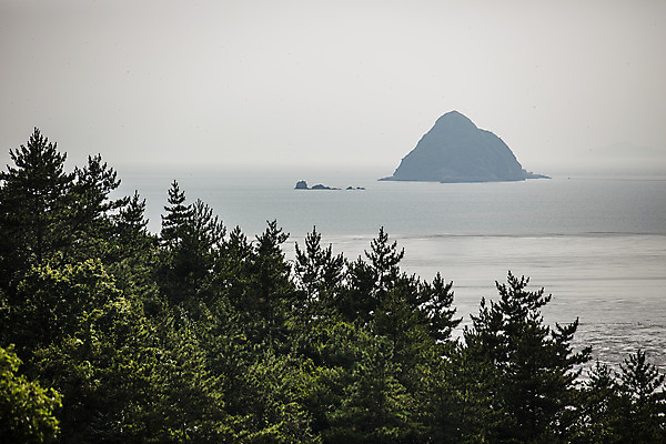 포토 JPG 주간 나무 바다 섬 여행 한국 풍경 사람없음 야외 관광지 전라남도 국내여행 서해안 송이도 영광군 국내포토 자연요소 식물 아시아 전라도 영광 파일형식