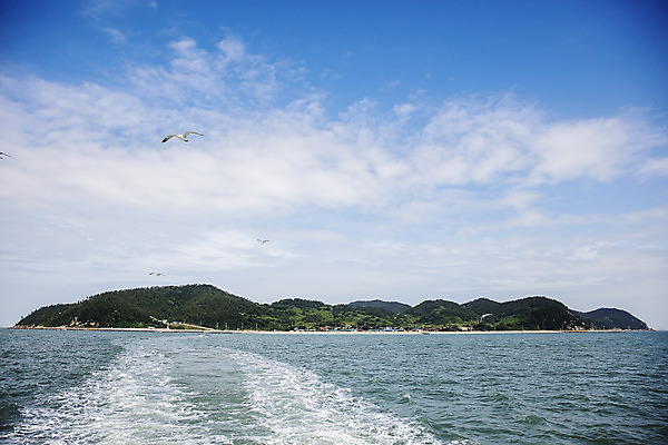 포토 JPG 주간 구름 섬 여행 갈매기 하늘 한국 풍경 사람없음 야외 관광지 항구 전라남도 국내여행 서해안 송이도 영광군 국내포토 자연요소 아시아 교통시설 조류 전라도 영광 파일형식