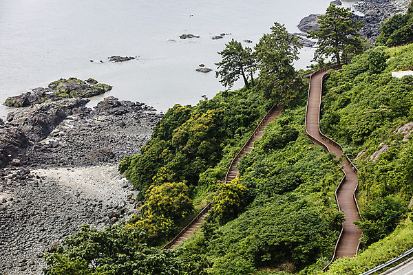 포토 JPG 주간 나무 바다 여행 한국 풍경 사람없음 야외 관광지 드라이브 전라남도 국내여행 백수해안도로 영광군 국내포토 자연요소 식물 아시아 운전 전라도 해안도로 영광 파일형식