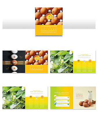 템플릿 ZIP 리플렛 자연 팜플렛 사람없음 연두색 노란색 새싹 계란 우유 신선 노른자 인디자인 INDD 이미지템플릿 식물 컬러 유제품 초록색 알 생태계 파일형식