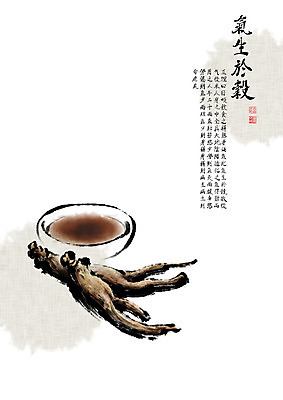 PSD 전통 일러스트 캘리그라피 붓터치 사람없음 약 한자 한의학 사발 인삼 한약 영양 번짐 동의보감 민간요법 인삼차 자양식품 기생어곡 건삼 국내일러스트 문자 의학 차_음료 삼 사기그릇 영양제 의술서적 파일형식 효과