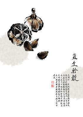 PSD 전통 일러스트 캘리그라피 붓터치 마늘 사람없음 한자 한의학 영양 번짐 동의보감 민간요법 흑마늘 자양식품 기생어곡 국내일러스트 문자 채소 의학 영양제 의술서적 파일형식 효과