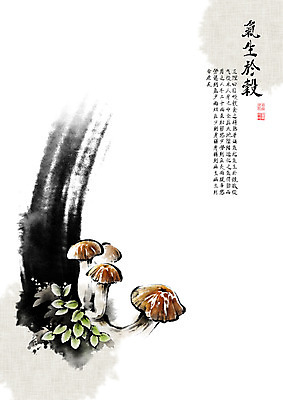 PSD 전통 일러스트 캘리그라피 붓터치 이끼 사람없음 한자 버섯 한의학 풀 영양 번짐 동의보감 민간요법 자양식품 기생어곡 국내일러스트 식물 문자 의학 영양제 의술서적 파일형식 효과