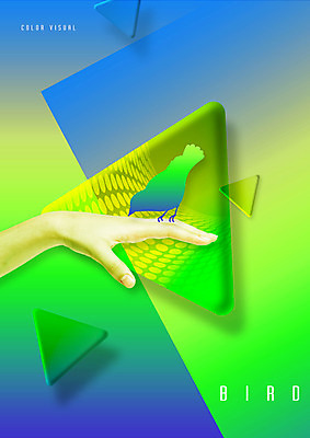 PSD 동물 편집이미지 한마리 손 실루엣 백그라운드 그래픽백그라운드 조류 신체부위 그래픽 초록색 삼각형 이미지편집 도형 1 컬러 촬영기법 사람 파일형식