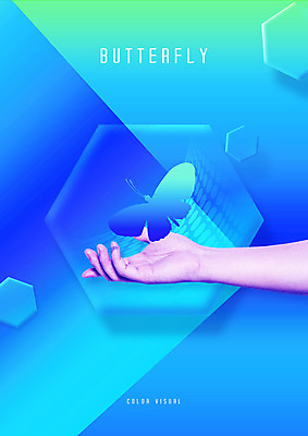 PSD 편집이미지 한마리 손 실루엣 나비 백그라운드 그래픽백그라운드 손짓 신체부위 그래픽 파란색 육각형 이미지편집 도형 1 컬러 곤충 모션 촬영기법 사람 파일형식