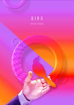 PSD 동물 편집이미지 한마리 손 실루엣 분홍색 백그라운드 그래픽백그라운드 조류 신체부위 그래픽 원형 이미지편집 도형 1 컬러 촬영기법 사람 파일형식