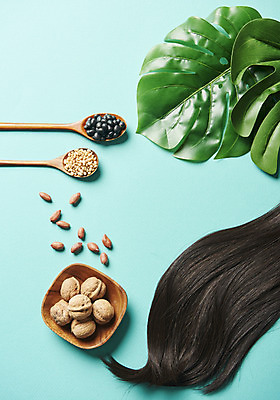 포토 JPG 스튜디오촬영 잎 실내 관리 사람없음 머리카락 견과류 질병 오브젝트 호두 아몬드 헤어관리 나무숟가락 검은콩 두피관리 탈모 민트색배경 국내포토 식물 백그라운드 의학 콩 내부 뷰티 머리 숟가락 민트색 증상 파일형식