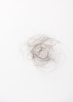 포토 JPG 스튜디오촬영 실내 사람없음 머리카락 질병 오브젝트 흰배경 헤어관리 두피관리 탈모 국내포토 백그라운드 의학 내부 뷰티 머리 흰색 증상 파일형식