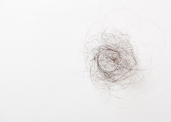 포토 JPG 스튜디오촬영 실내 사람없음 머리카락 질병 오브젝트 흰배경 헤어관리 두피관리 탈모 국내포토 백그라운드 의학 내부 뷰티 머리 흰색 증상 파일형식