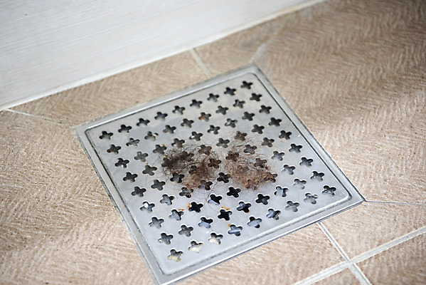 포토 JPG 스튜디오촬영 실내 사람없음 머리카락 질병 청소 오브젝트 헤어관리 배수구 두피관리 탈모 국내포토 의학 내부 뷰티 머리 증상 파일형식