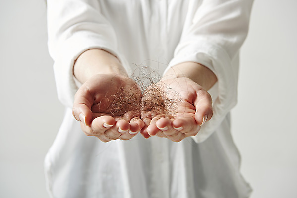 포토 JPG 스튜디오촬영 손 여자 실내 한명 들기 상반신 20대 앞모습 신체부위 머리카락 질병 오브젝트 흰배경 헤어관리 두피관리 탈모 국내포토 1 뷰포인트 백그라운드 의학 모션 사람 청년 내부 뷰티 머리 흰색 증상 파일형식