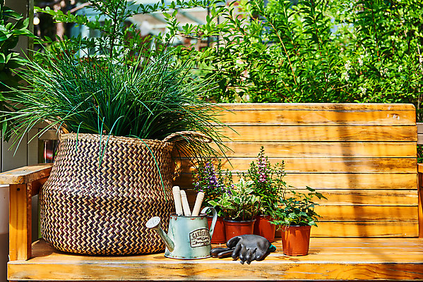 포토 JPG 주간 식물 화분 화초 장갑 벤치 의자 자연 취미 사람없음 야외 초록색 정원 물뿌리개 모종삽 원예 홈가드닝 안젤로니아 반려식물 국내포토 자연요소 잡화 컬러 가구 삽 생태계 파일형식