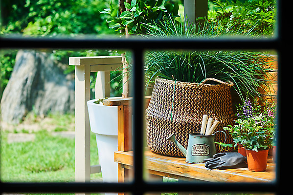 포토 JPG 주간 식물 화분 화초 장갑 벤치 의자 자연 취미 사람없음 야외 초록색 정원 물뿌리개 모종삽 원예 창틀 홈가드닝 무늬산호수 안젤로니아 반려식물 국내포토 자연요소 잡화 컬러 가구 창문 삽 생태계 파일형식