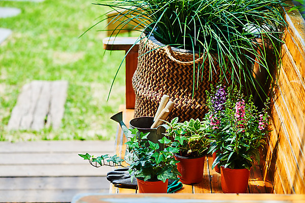 포토 JPG 주간 식물 화분 화초 벤치 의자 자연 취미 사람없음 야외 초록색 정원 물뿌리개 모종삽 원예 아이비 홈가드닝 무늬산호수 안젤로니아 반려식물 국내포토 자연요소 컬러 가구 삽 생태계 파일형식