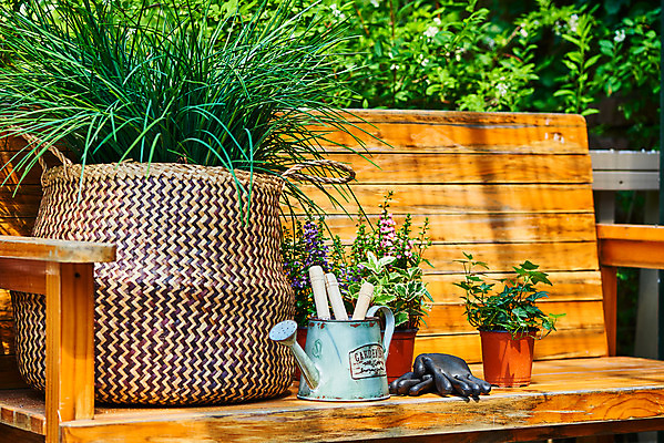 포토 JPG 주간 식물 화초 장갑 벤치 의자 자연 취미 사람없음 야외 초록색 정원 물뿌리개 모종삽 원예 아이비 홈가드닝 무늬산호수 안젤로니아 반려식물 국내포토 자연요소 잡화 컬러 가구 삽 생태계 파일형식