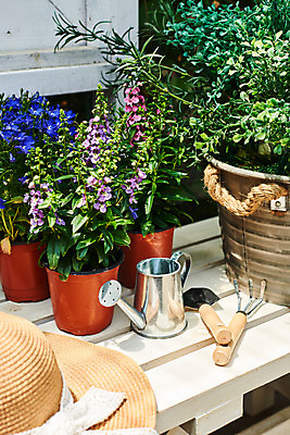 포토 JPG 주간 식물 모자 화분 화초 자연 취미 사람없음 야외 정원 물뿌리개 모종삽 원예 로벨리아 홈가드닝 안젤로니아 반려식물 국내포토 자연요소 잡화 삽 생태계 파일형식