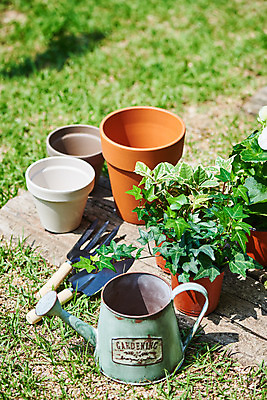 포토 JPG 주간 식물 화분 화초 자연 취미 사람없음 야외 초록색 정원 물뿌리개 모종삽 원예 아이비 홈가드닝 무늬산호수 반려식물 국내포토 자연요소 컬러 삽 생태계 파일형식