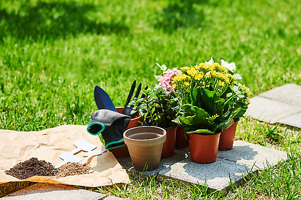 포토 JPG 주간 식물 화분 화초 장갑 자연 취미 사람없음 야외 초록색 정원 흙 모종삽 원예 베고니아 분갈이 카랑코에 홈가드닝 레마탄 반려식물 국내포토 자연요소 잡화 꽃 컬러 삽 생태계 파일형식 공기정화식물