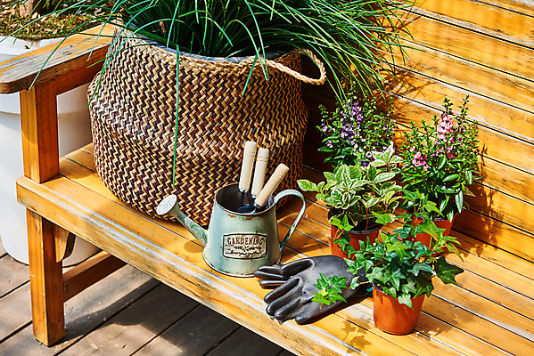 포토 JPG 주간 식물 화초 장갑 벤치 의자 자연 취미 사람없음 야외 초록색 정원 물뿌리개 모종삽 원예 아이비 홈가드닝 무늬산호수 안젤로니아 반려식물 국내포토 자연요소 잡화 컬러 가구 삽 생태계 파일형식