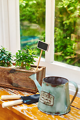 포토 JPG 식물 화분 화초 창문 자연 주택 실내 취미 사람없음 정원 물뿌리개 모종삽 창가 원예 홈가드닝 스피아민트 반려식물 국내포토 내부 건물 삽 민트 생태계 파일형식
