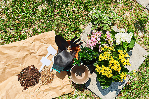 포토 JPG 주간 식물 화분 화초 장갑 자연 주택 취미 사람없음 야외 초록색 하이앵글 정원 흙 모종삽 원예 베고니아 분갈이 카랑코에 홈가드닝 레마탄 무늬산호수 반려식물 국내포토 자연요소 잡화 꽃 뷰포인트 컬러 건물 삽 생태계 파일형식 공기정화식물