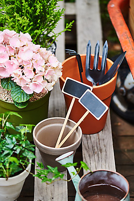 포토 JPG 주간 식물 화분 화초 자연 주택 취미 사람없음 야외 정원 물뿌리개 모종삽 원예 수국 아이비 율마 홈가드닝 반려식물 국내포토 자연요소 꽃 건물 삽 생태계 파일형식