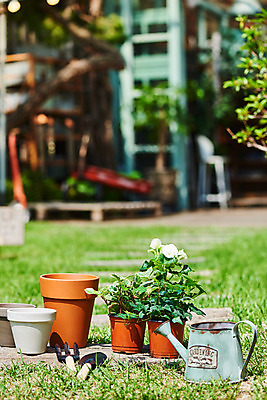 포토 JPG 주간 식물 화분 화초 자연 주택 취미 사람없음 야외 아웃포커스 초록색 정원 물뿌리개 모종삽 원예 아이비 베고니아 홈가드닝 무늬산호수 반려식물 국내포토 자연요소 꽃 컬러 촬영기법 건물 삽 생태계 파일형식